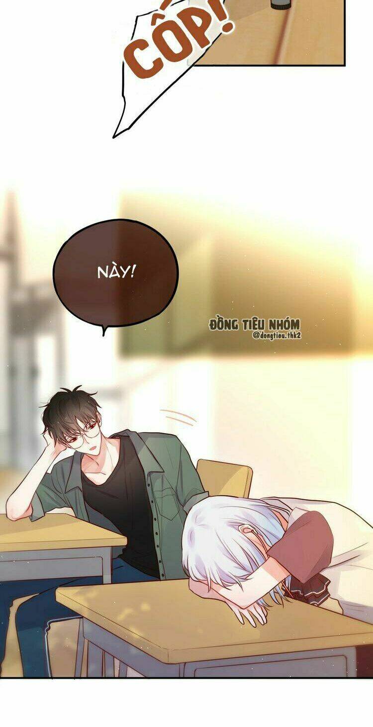 page_16.jpg