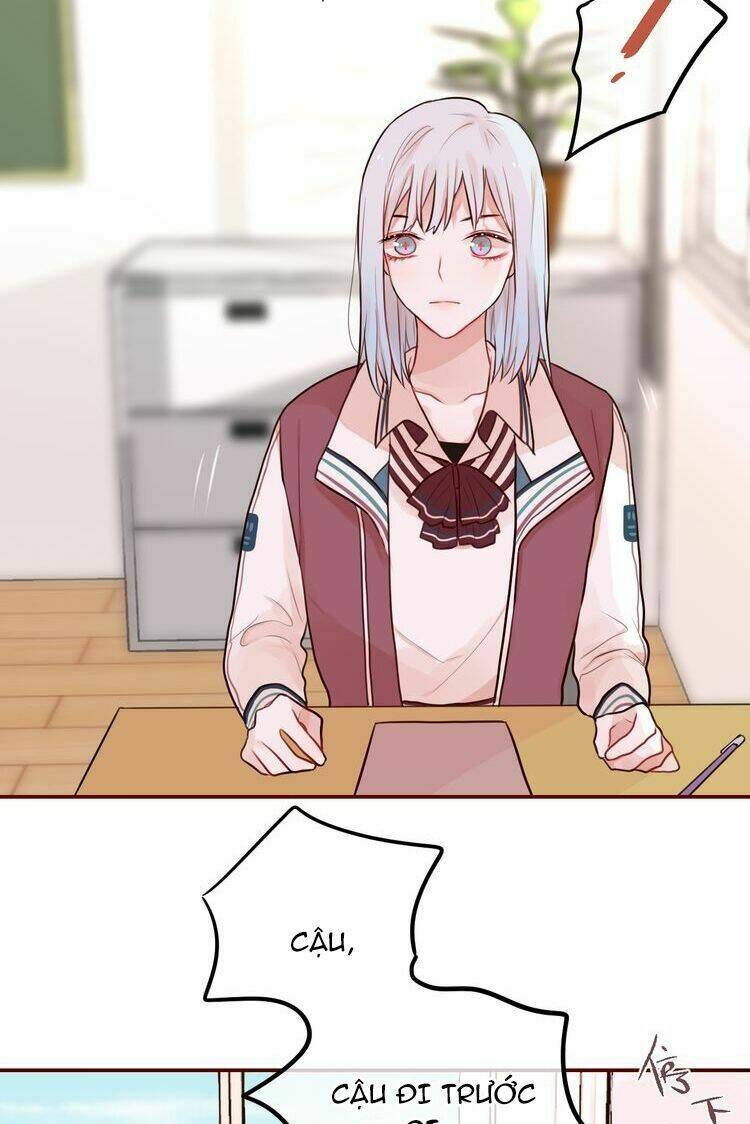 page_29.jpg