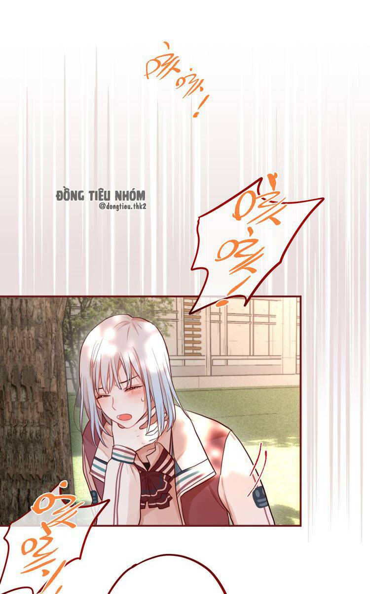 page_17.jpg
