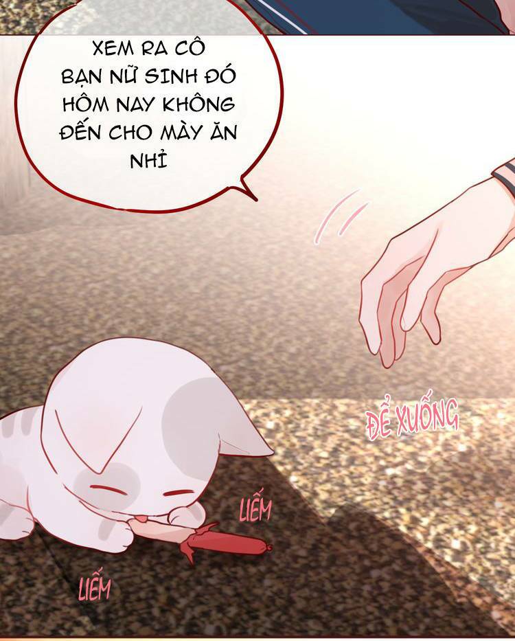 page_32.jpg
