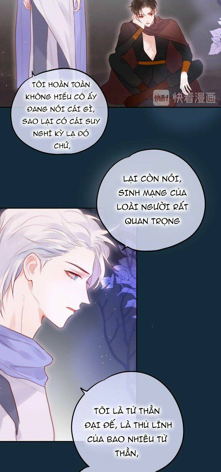 page_14.jpg