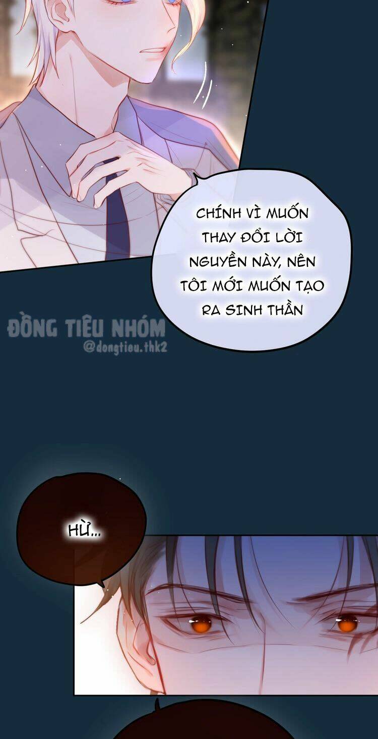 page_28.jpg