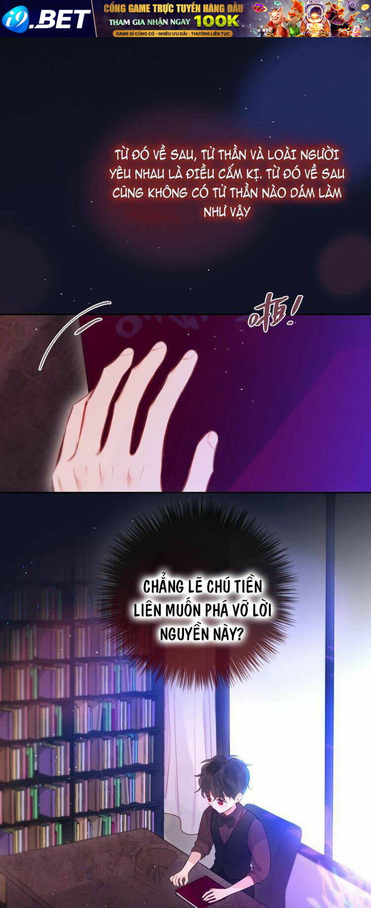 page_22.jpg