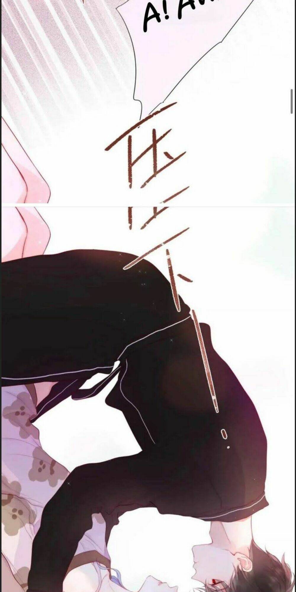 page_19.jpg