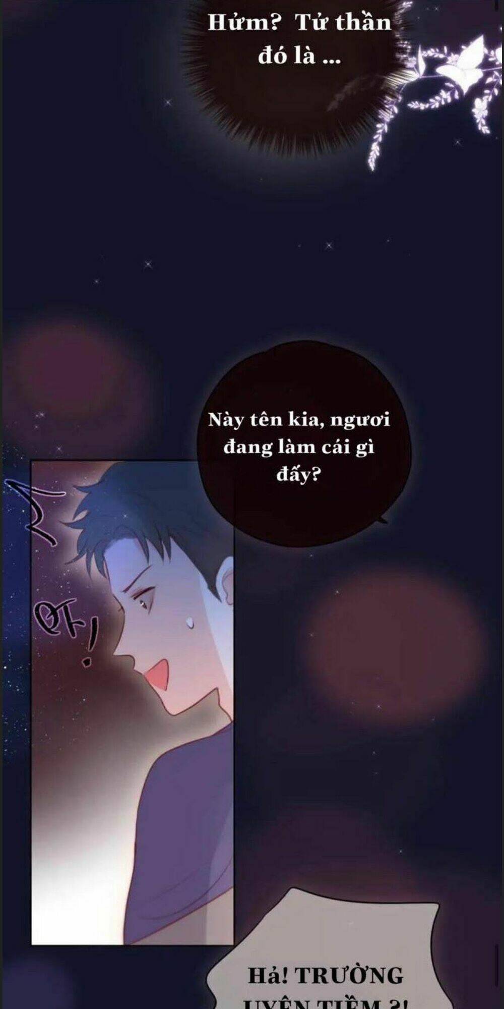 page_20.jpg