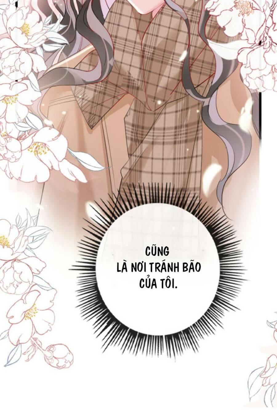 page_24.jpg
