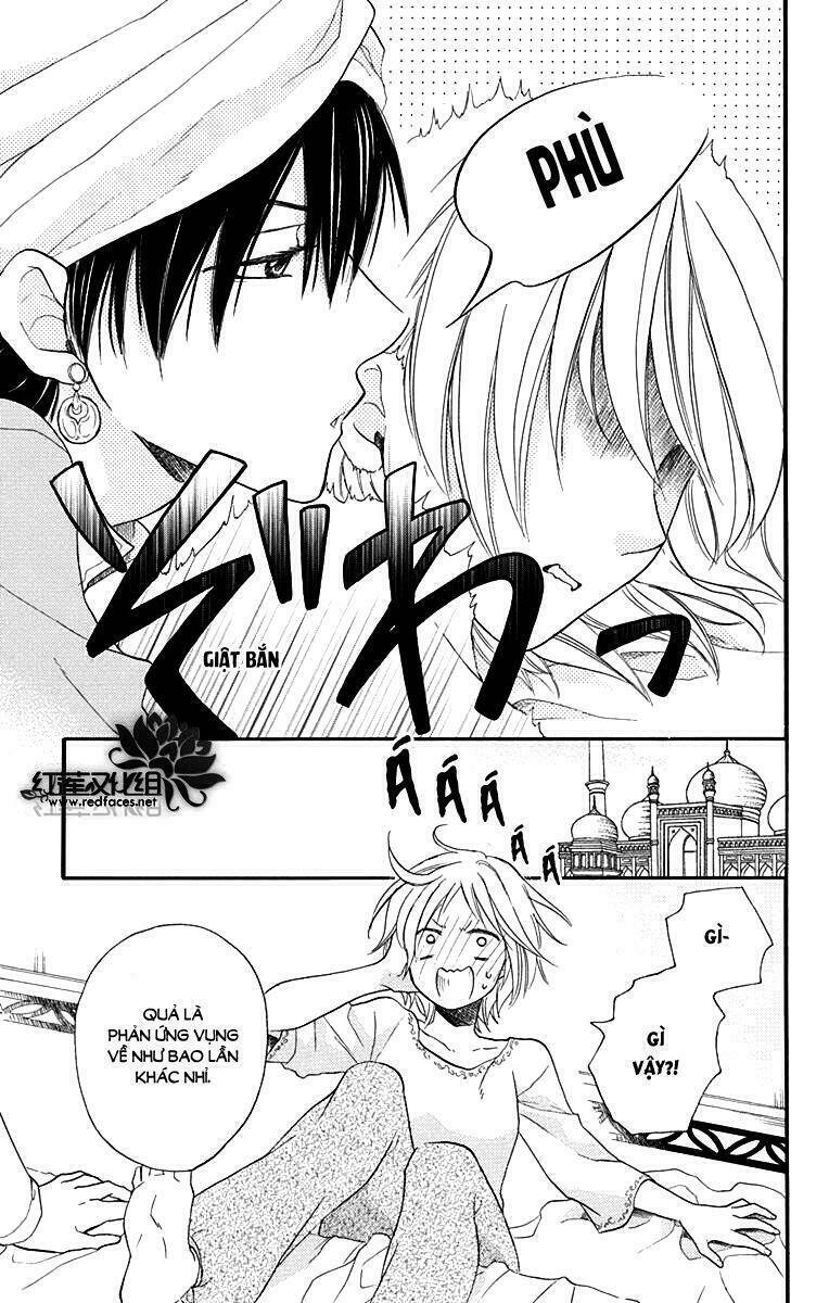 page_14.jpg