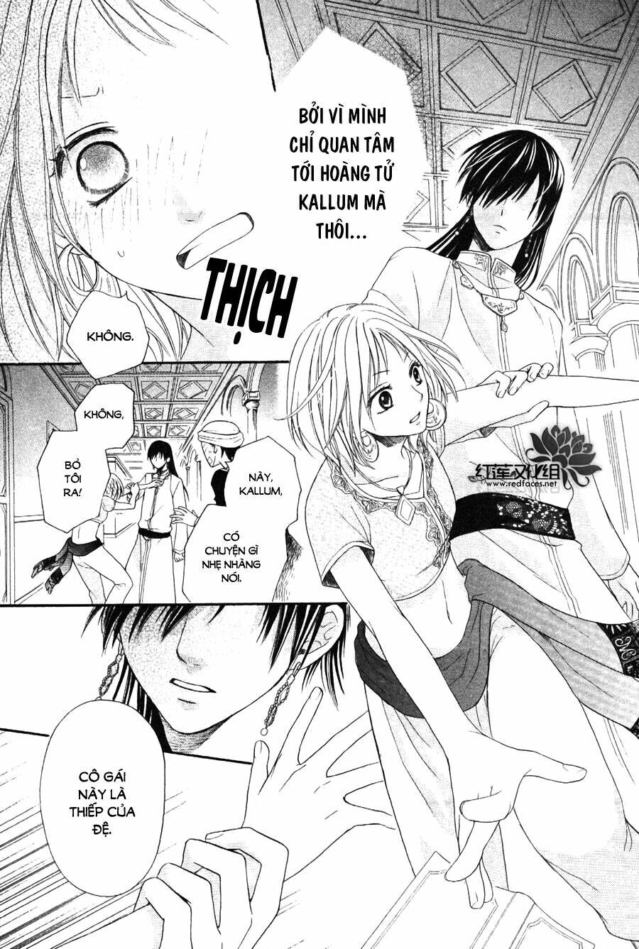 page_21.jpg