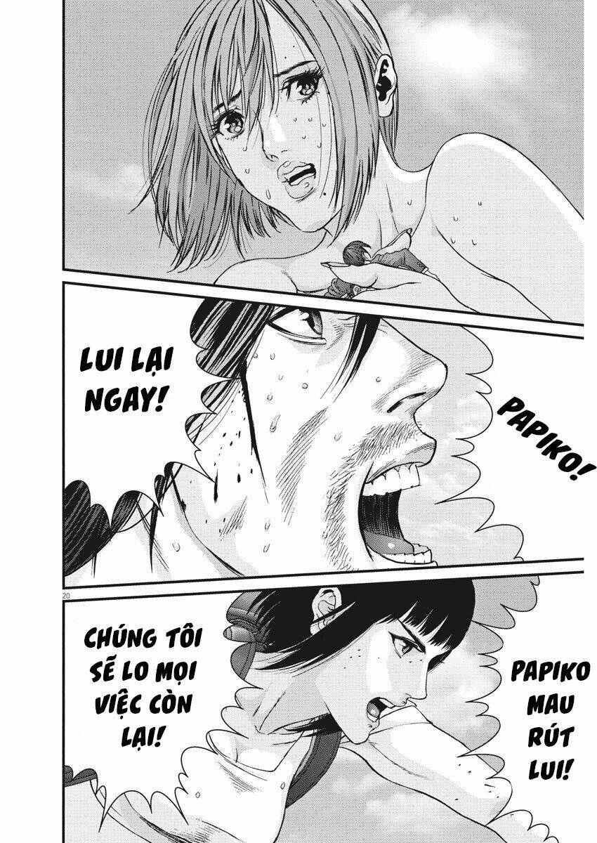 page_19.jpg