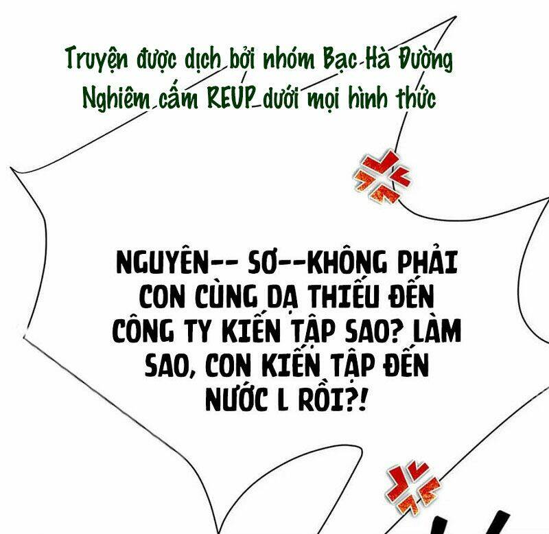page_19.jpg