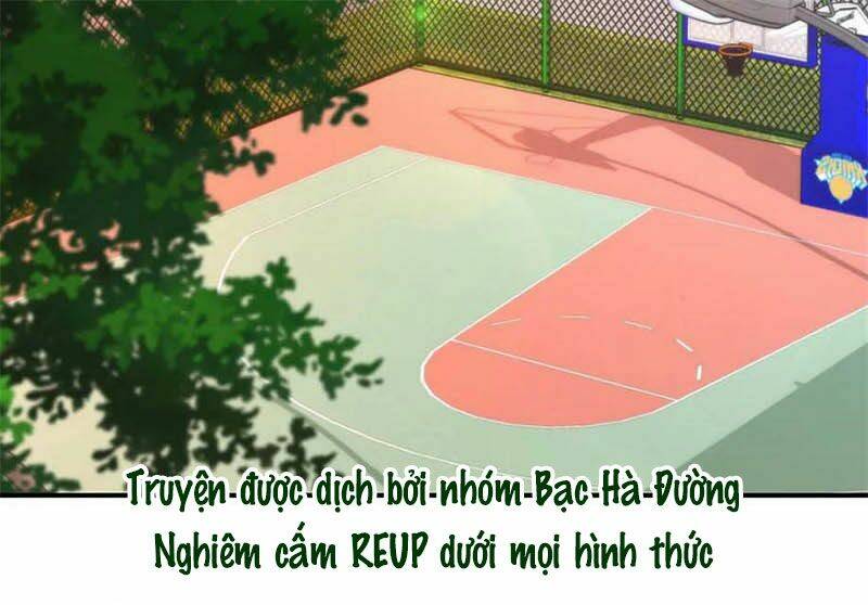 page_17.jpg