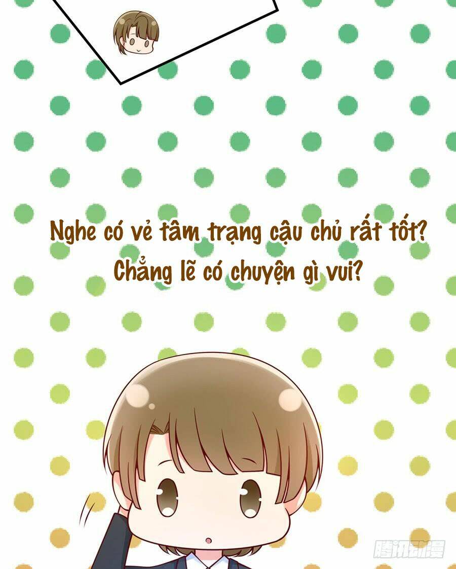 page_19.jpg