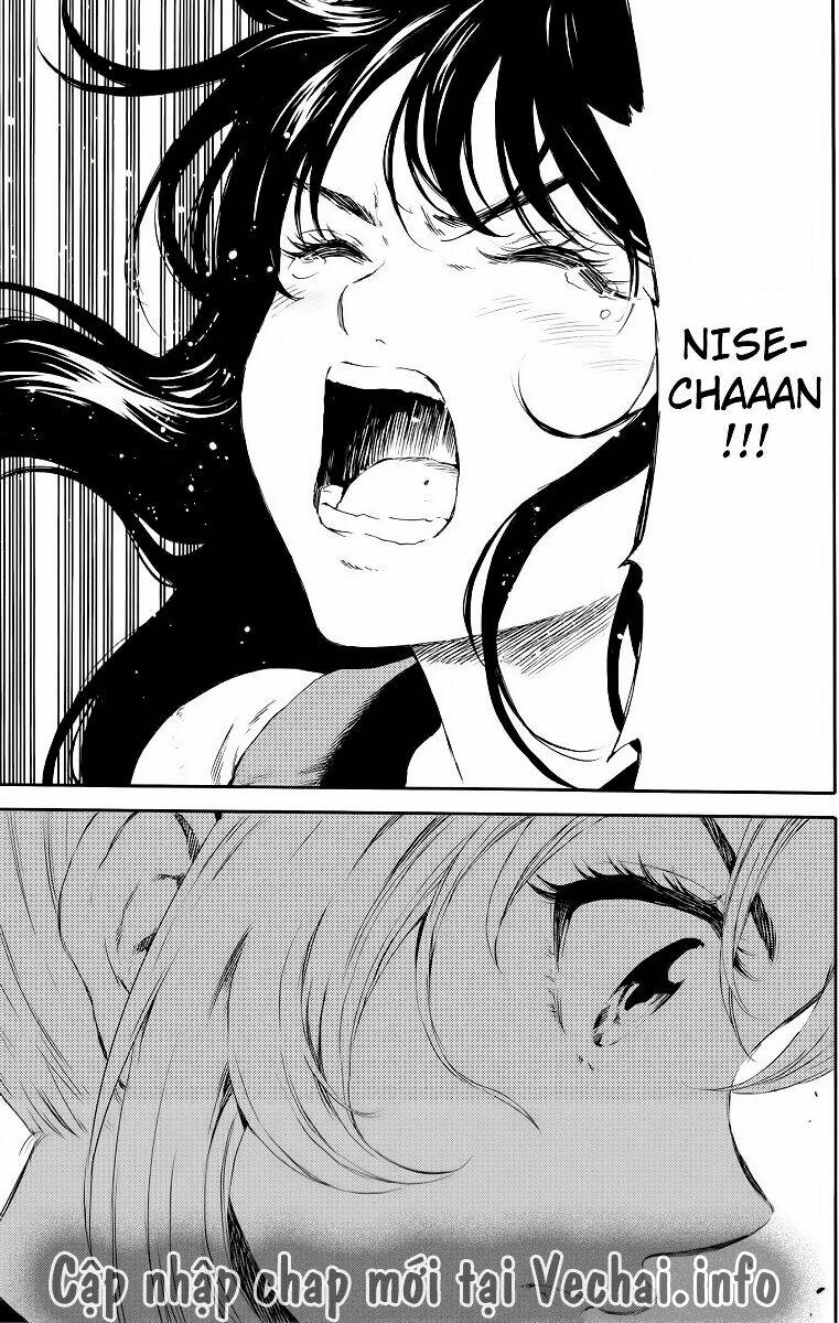 page_16.jpg