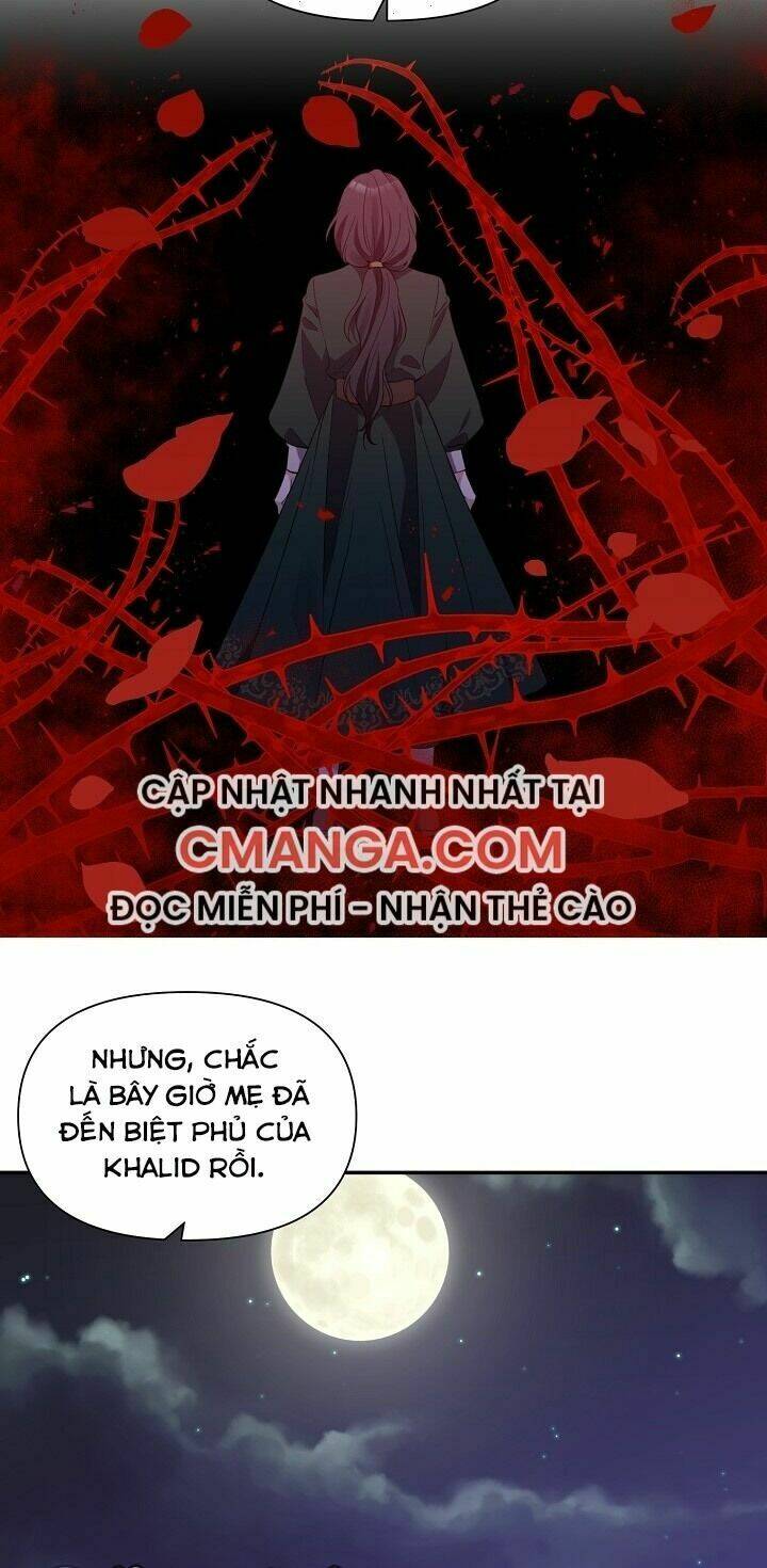page_23.jpg
