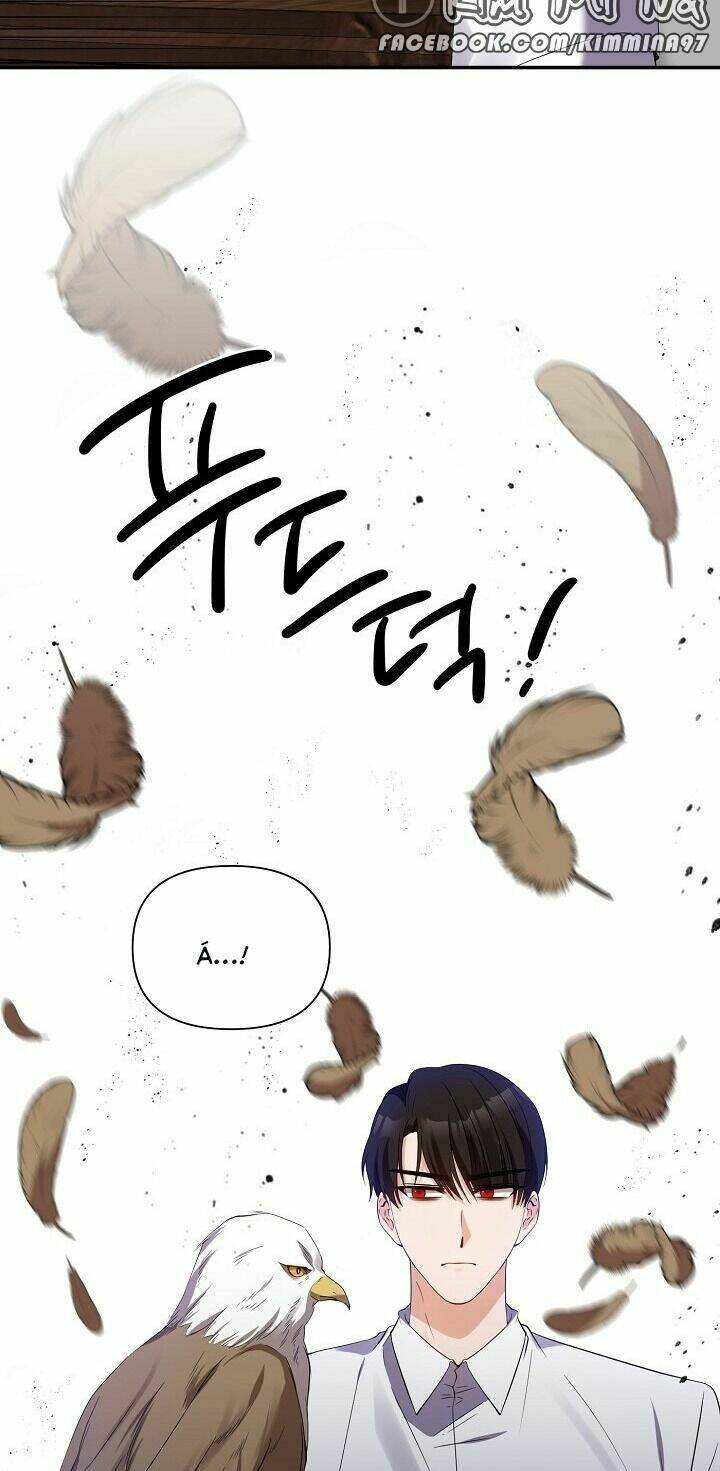 page_26.jpg