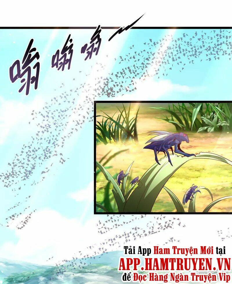 page_19.jpg