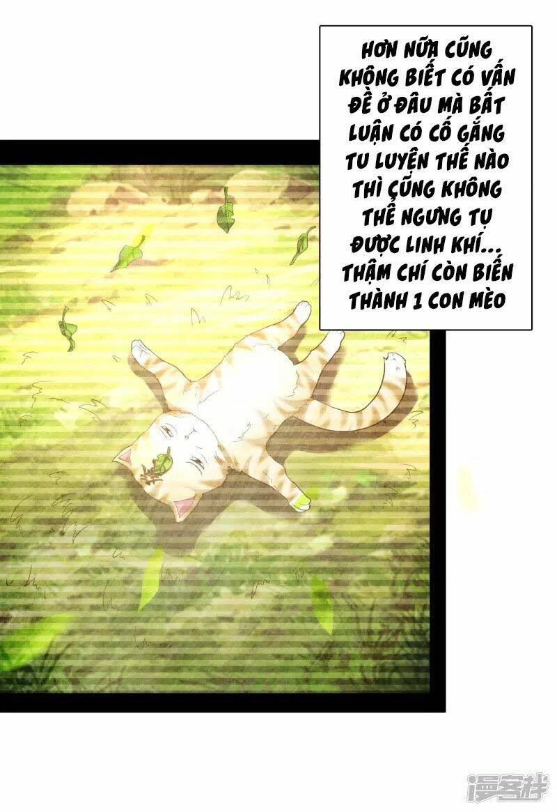 page_17.jpg