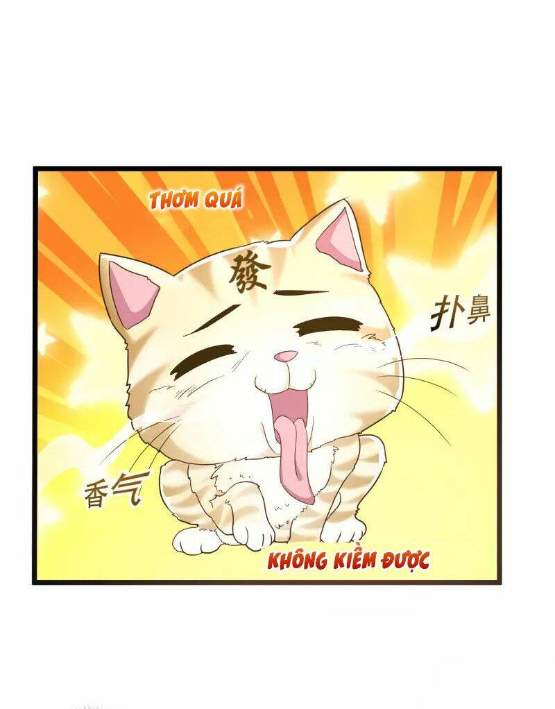 page_24.jpg