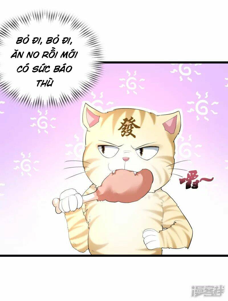page_28.jpg