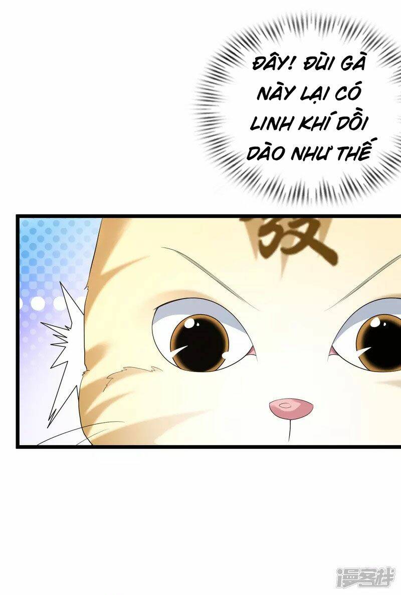 page_29.jpg