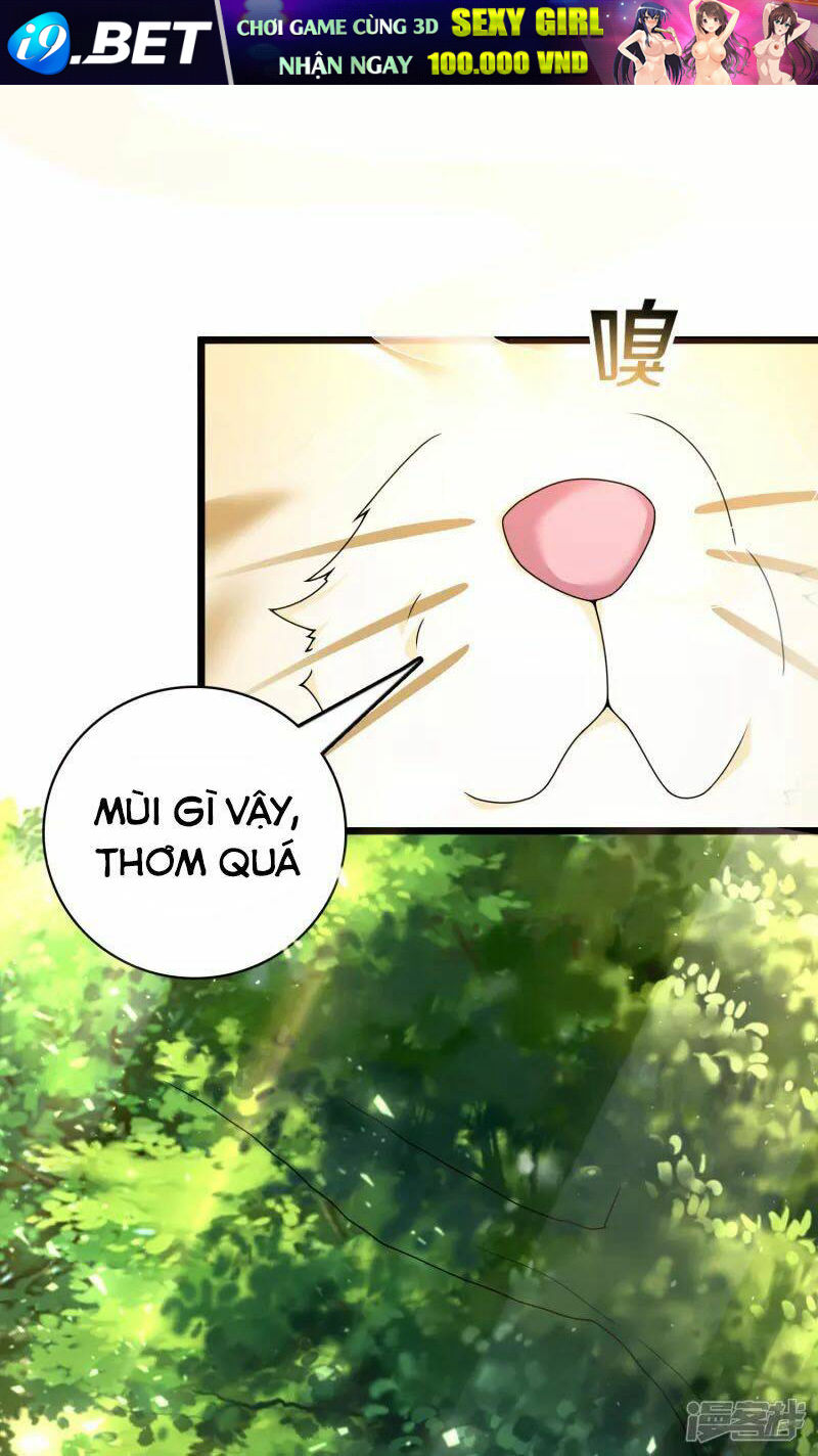 page_6.jpg