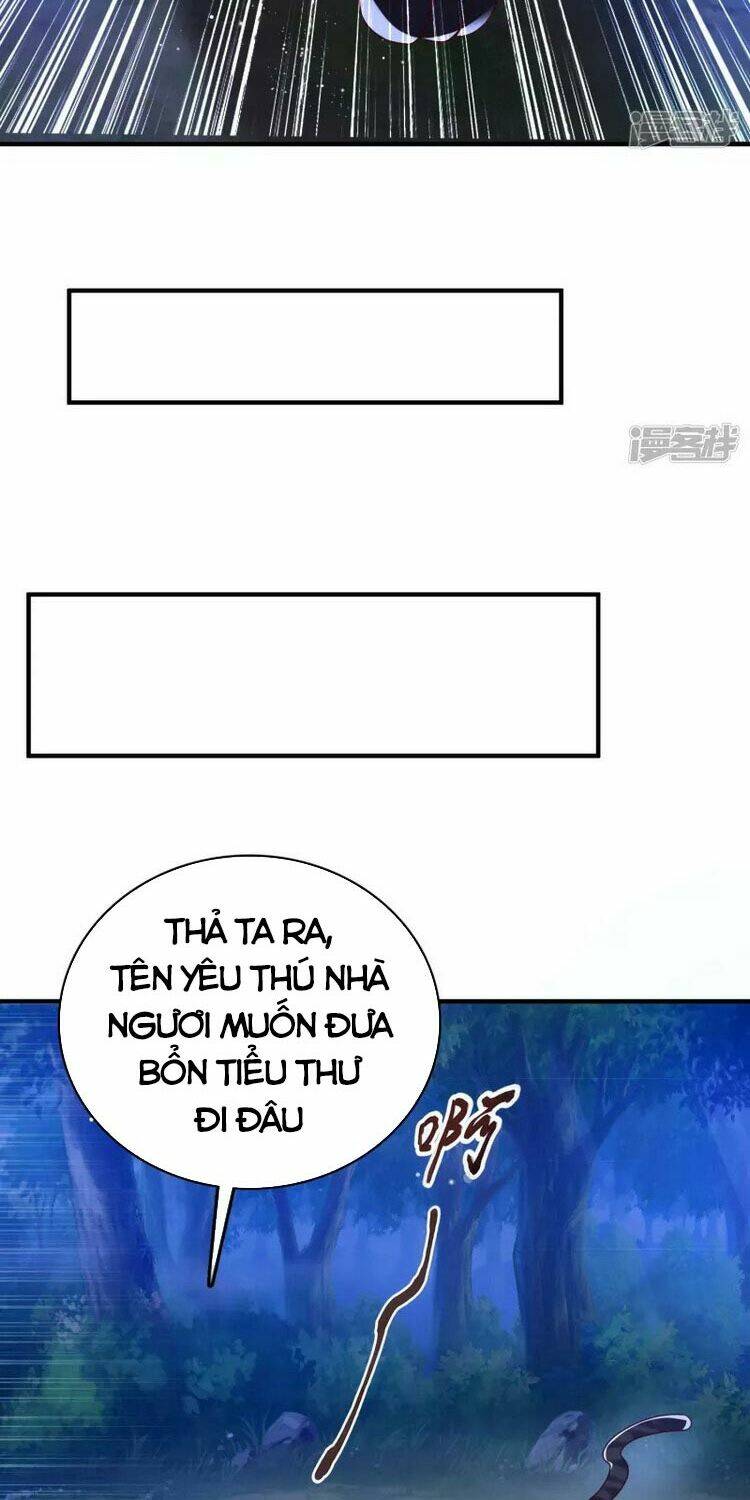 page_28.jpg