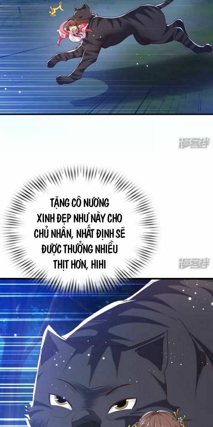 page_29.jpg