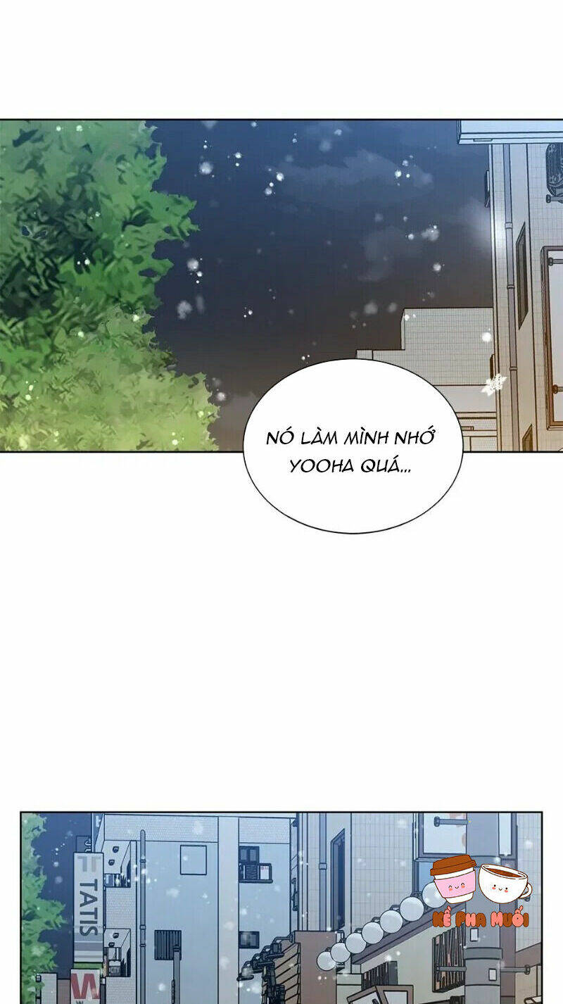 page_57.jpg