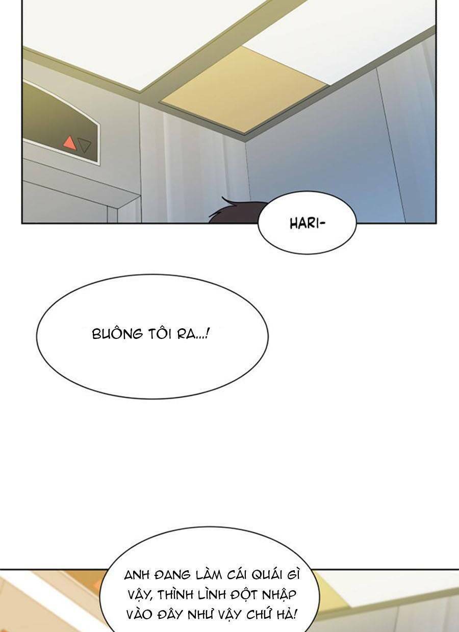 page_51.jpg
