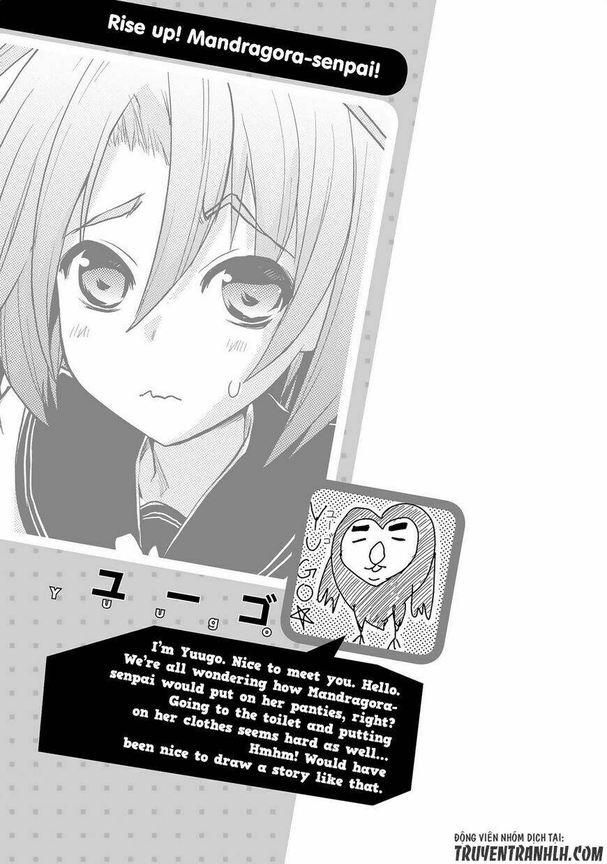 page_19.jpg