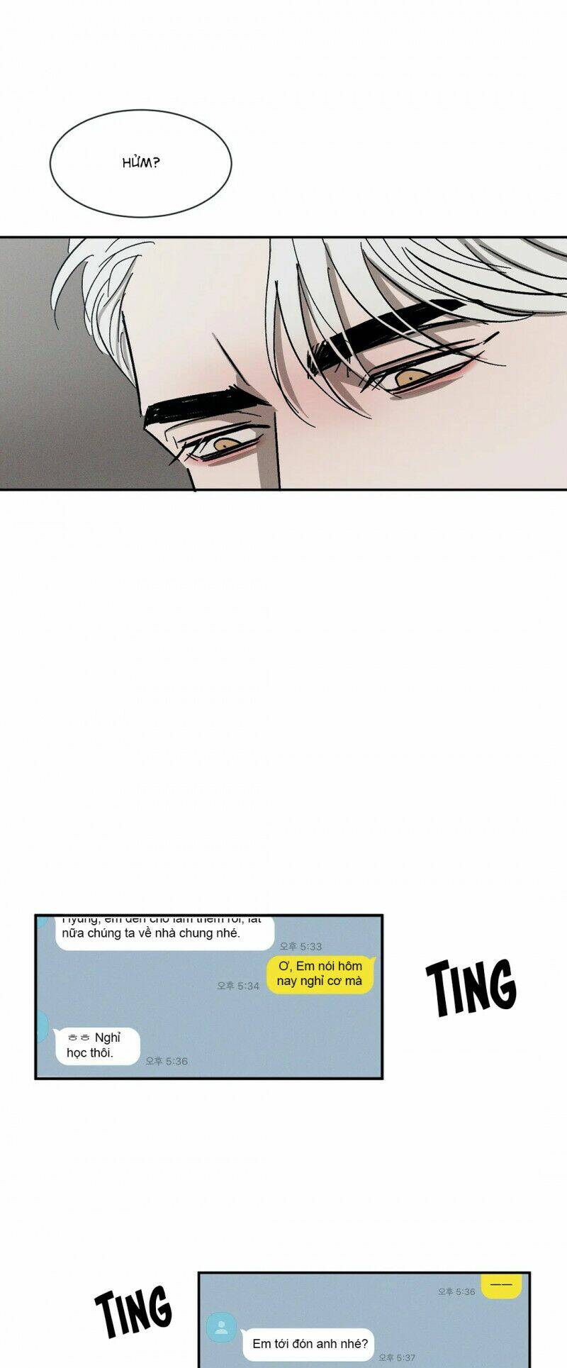 page_19.jpg