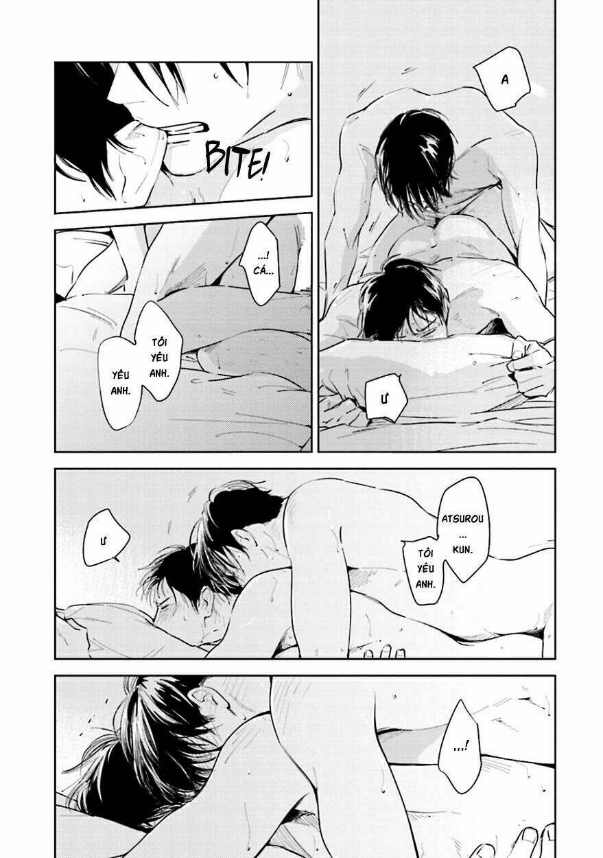 page_17.jpg