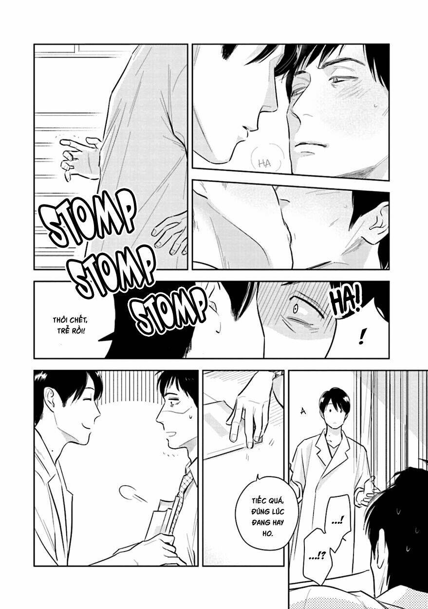 page_20.jpg