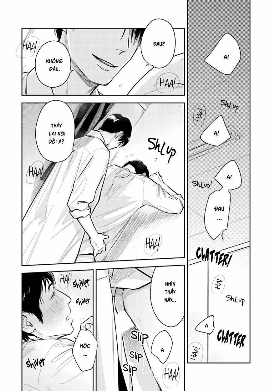page_28.jpg