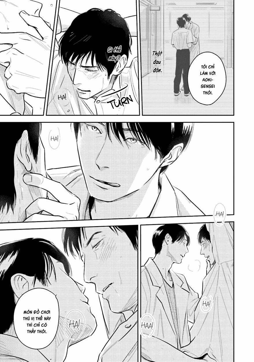 page_31.jpg
