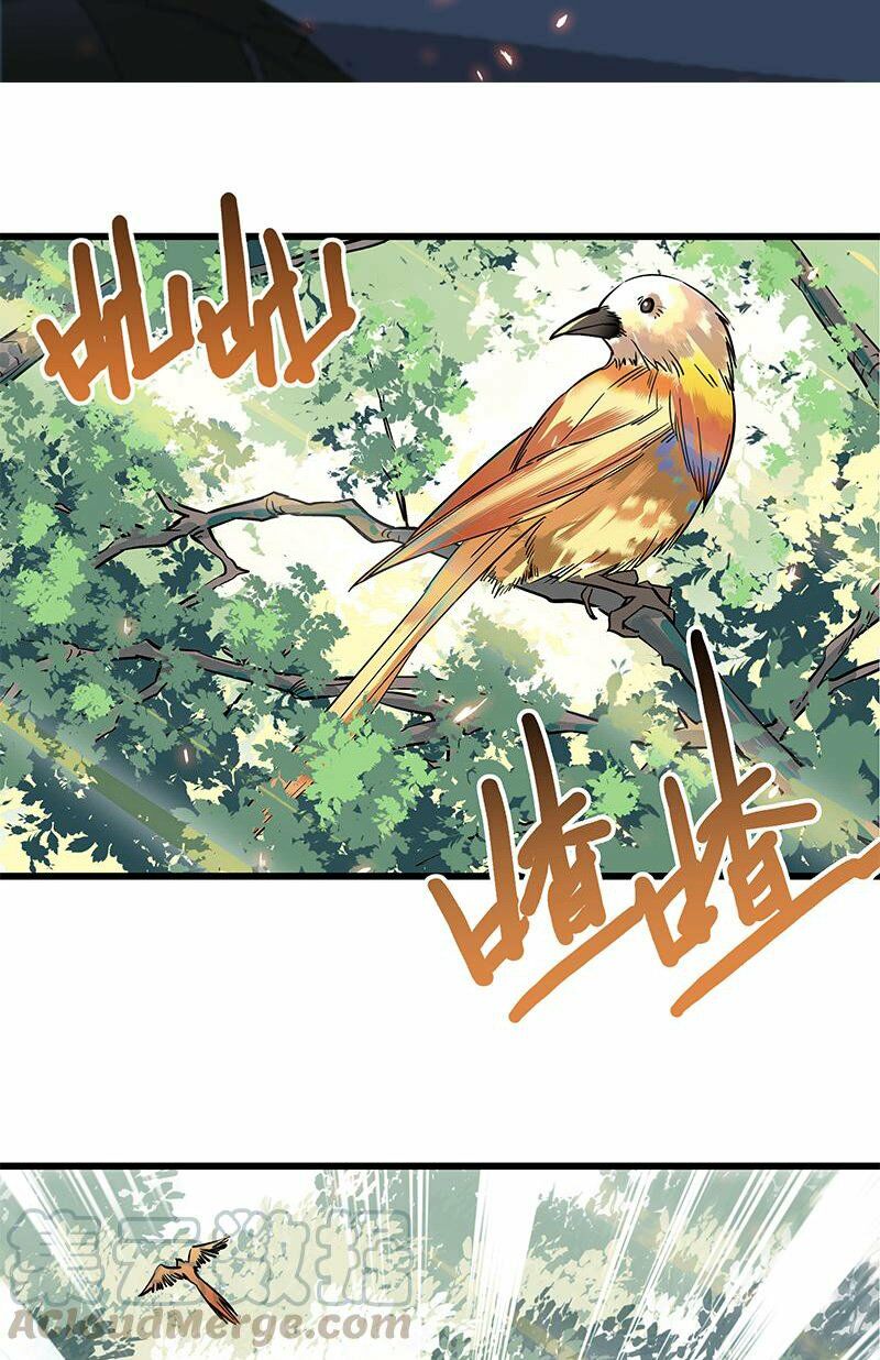 page_29.jpg