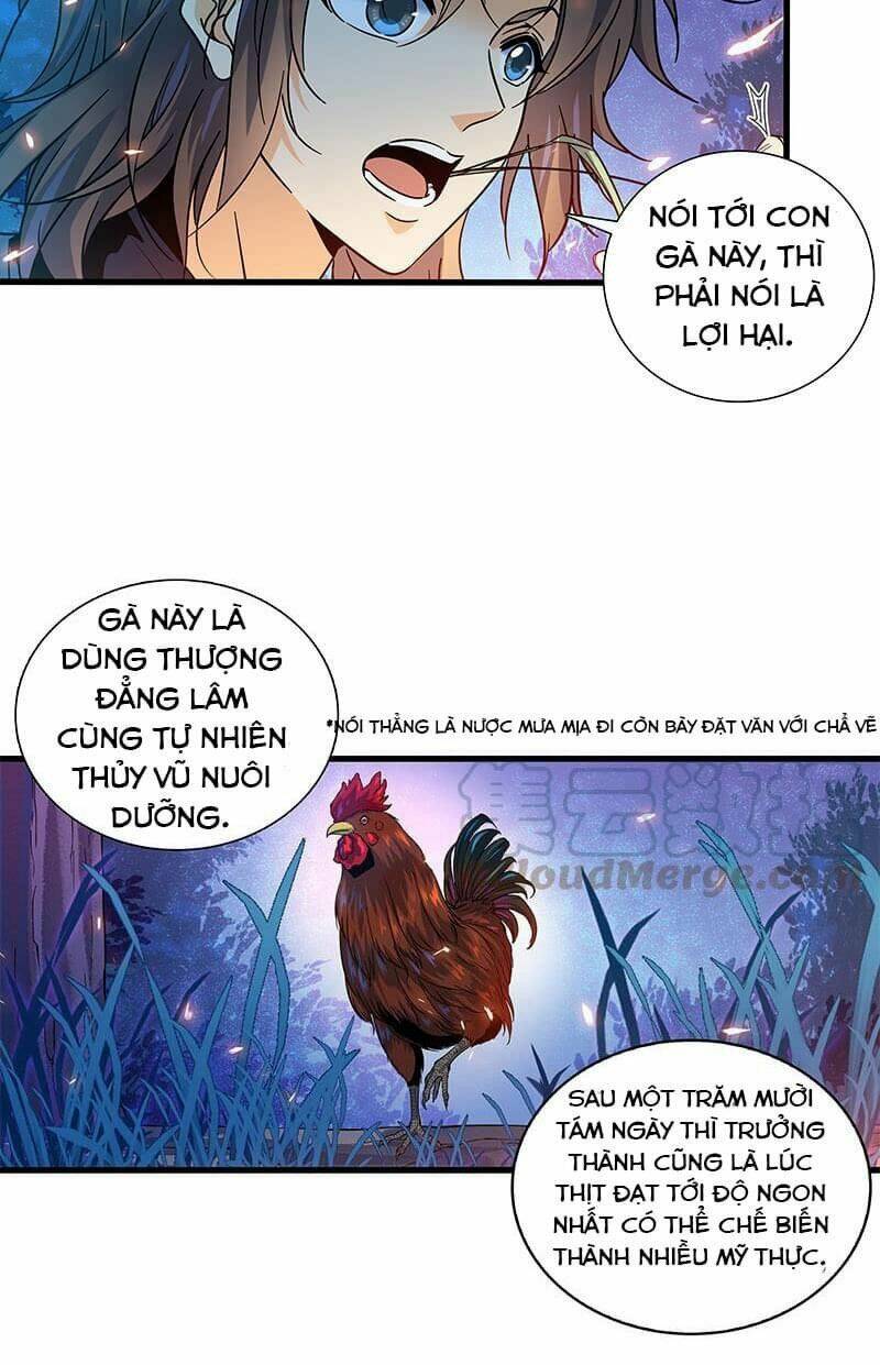 page_21.jpg