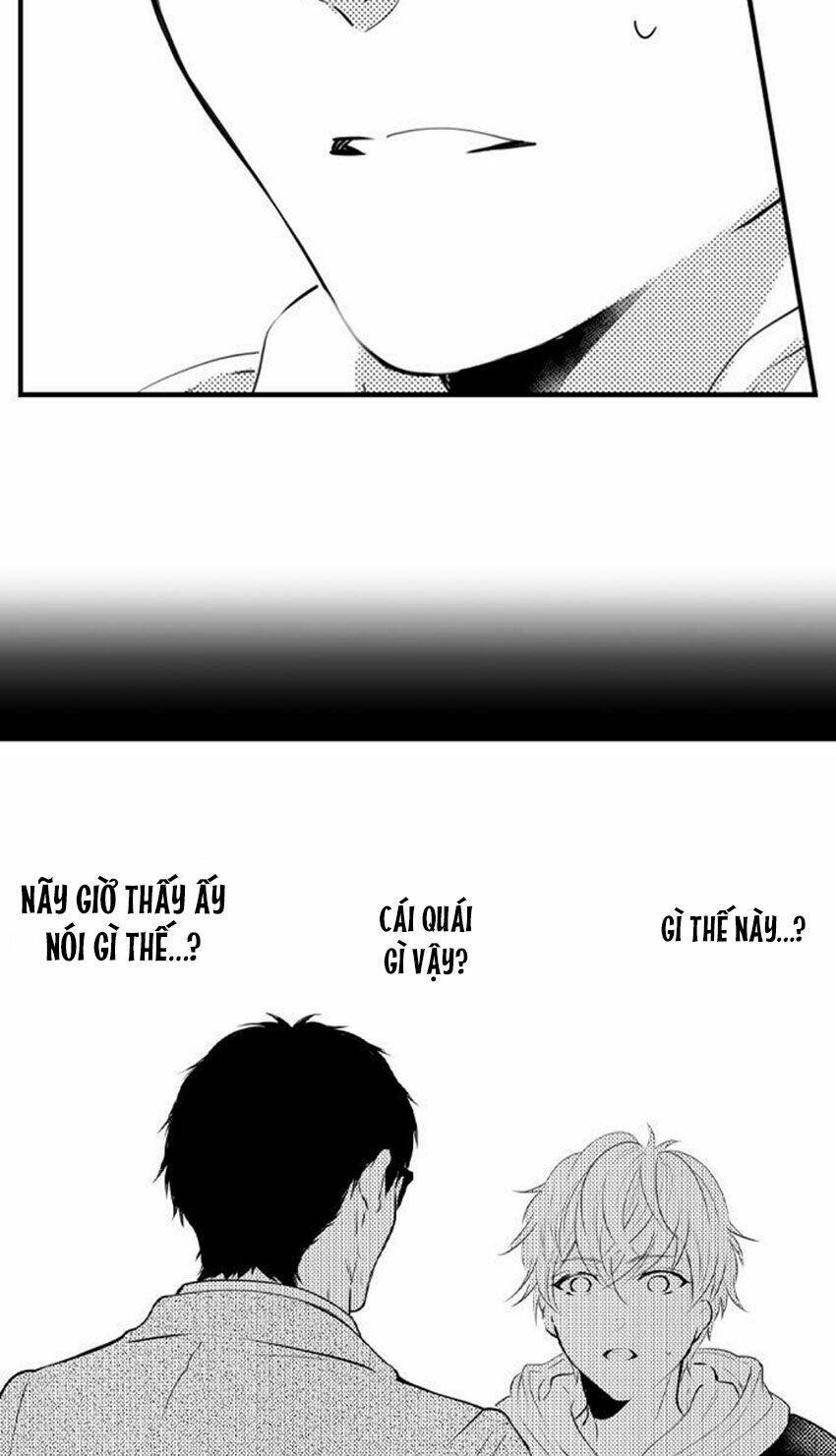page_20.jpg