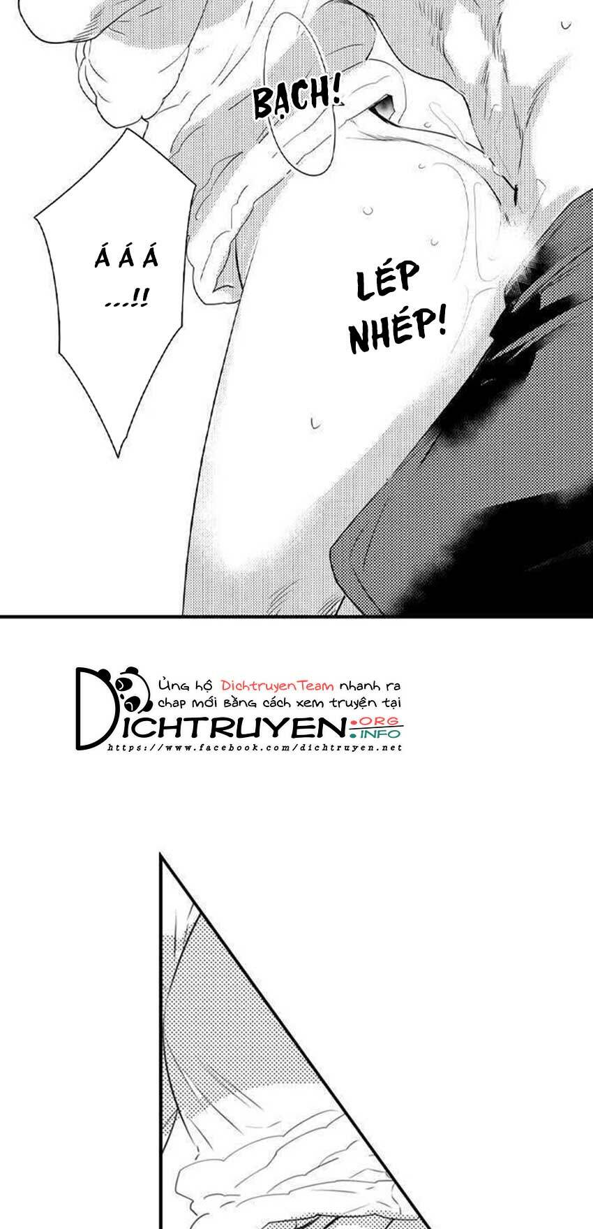 page_19.jpg