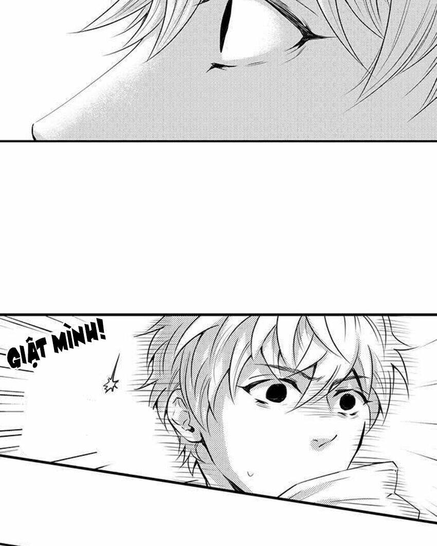 page_28.jpg