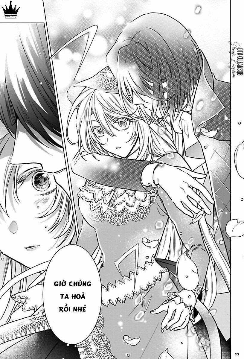 page_25.jpg