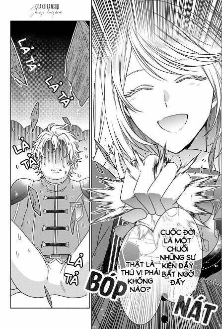 page_19.jpg