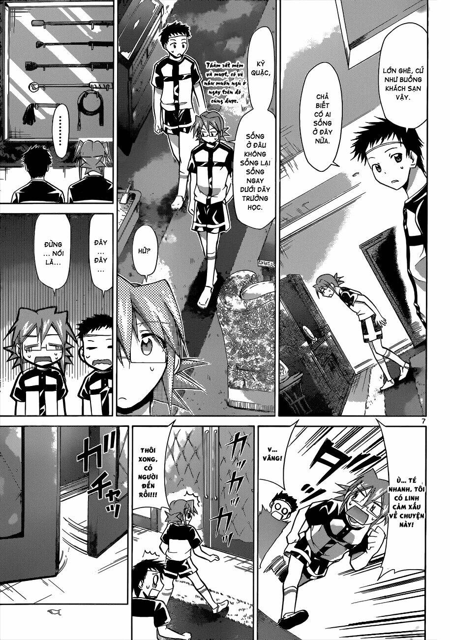 page_8.jpg