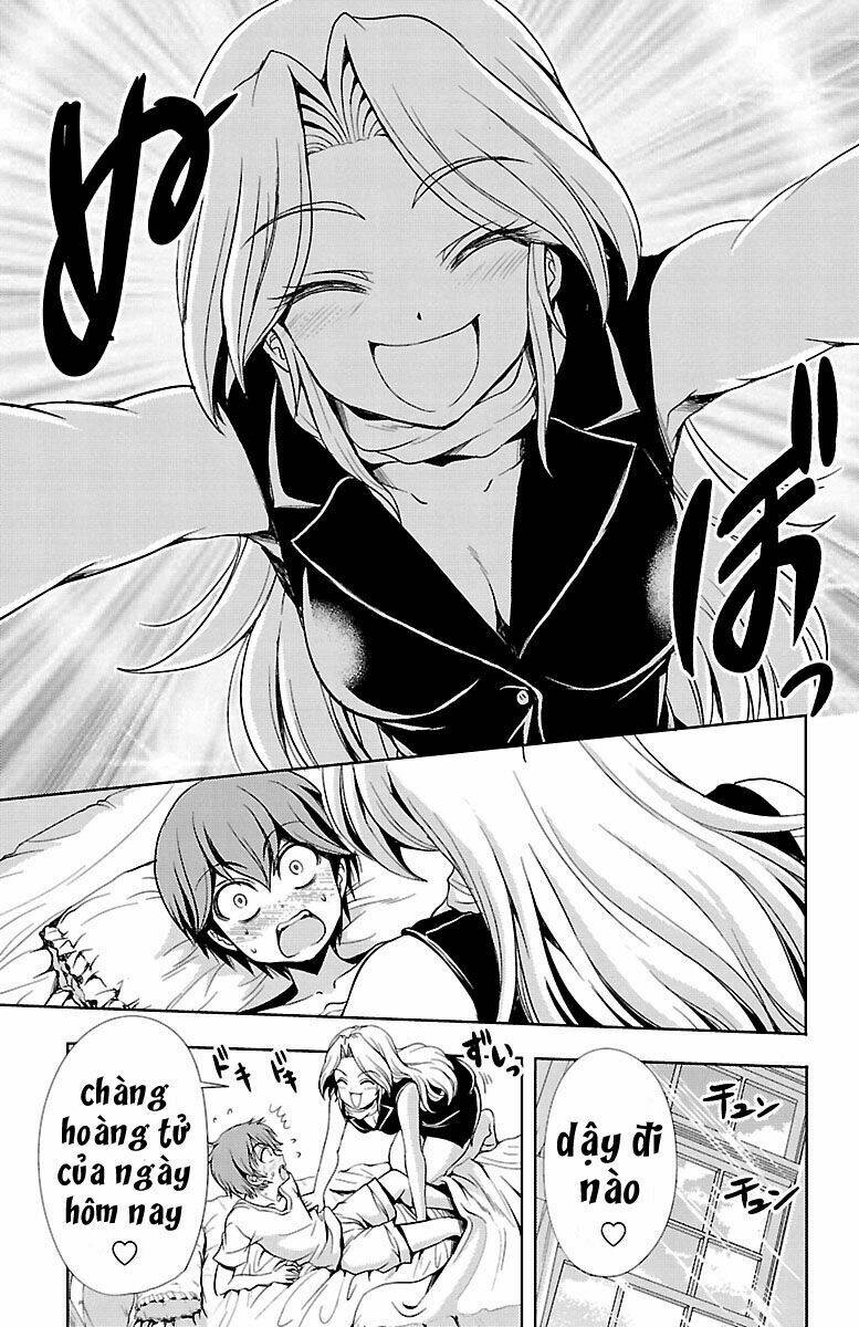 page_17.jpg