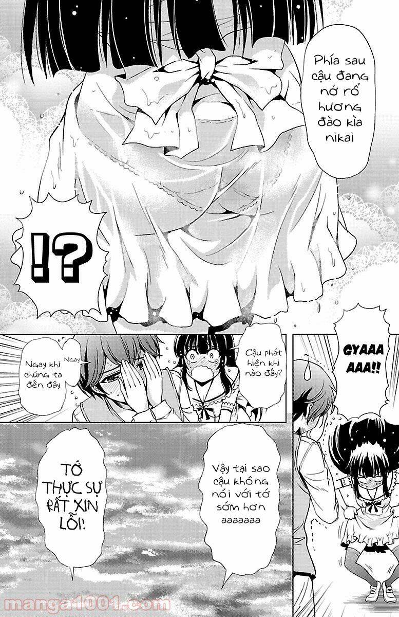 page_48.jpg