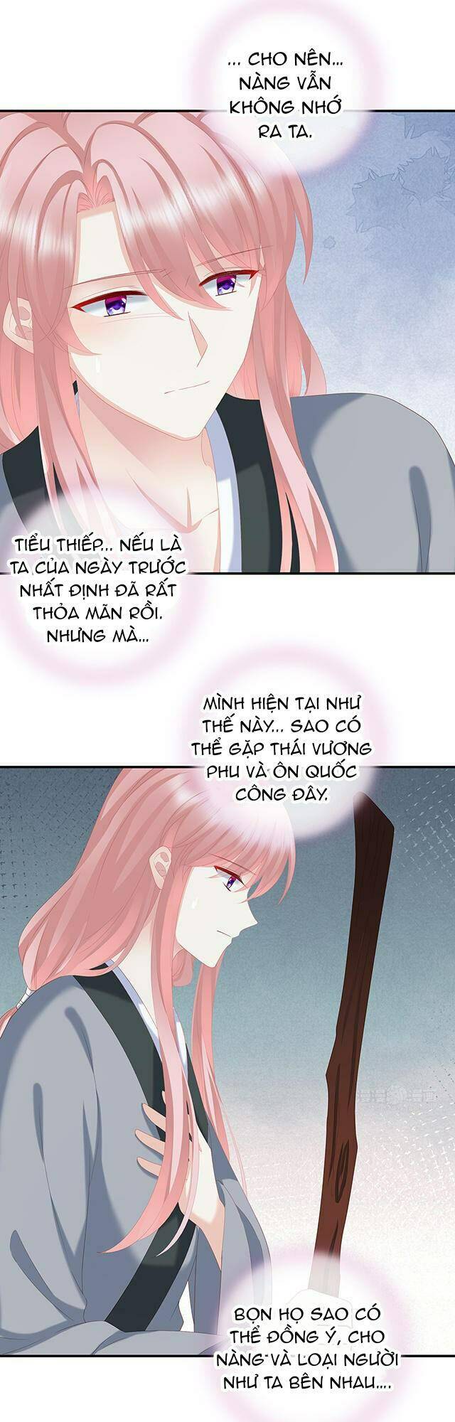 page_7.jpg
