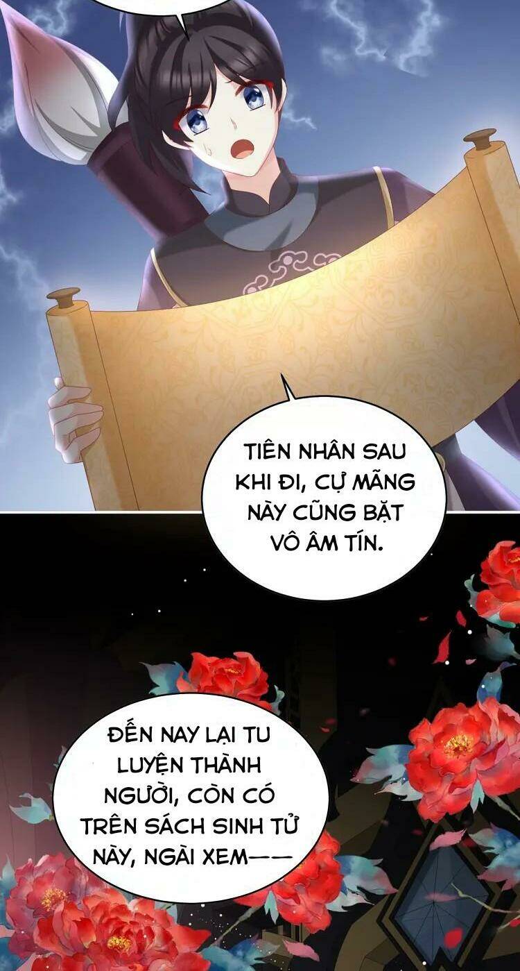page_29.jpg