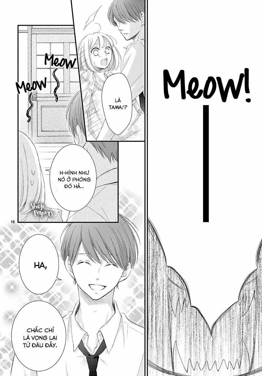 page_16.jpg