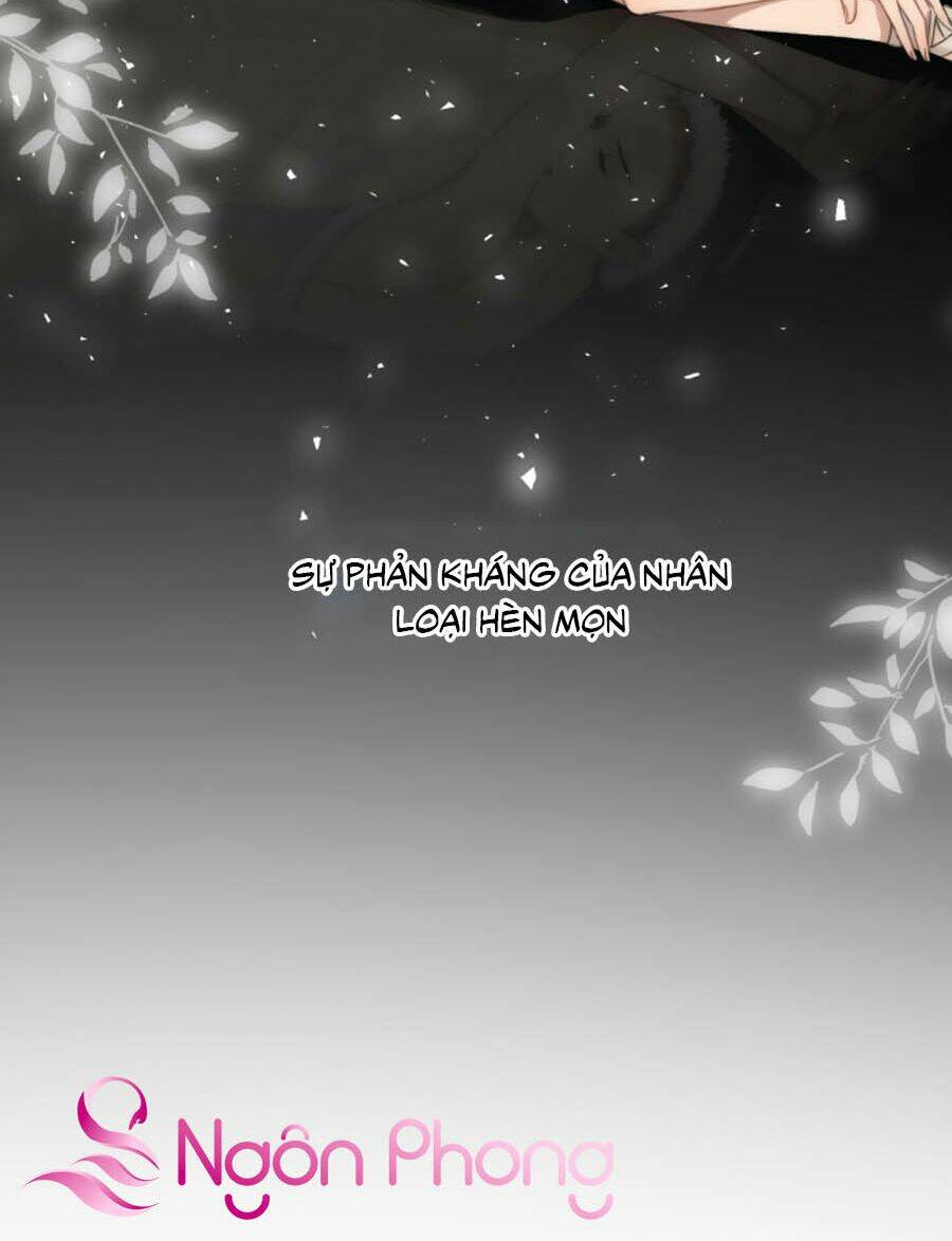 page_27.jpg