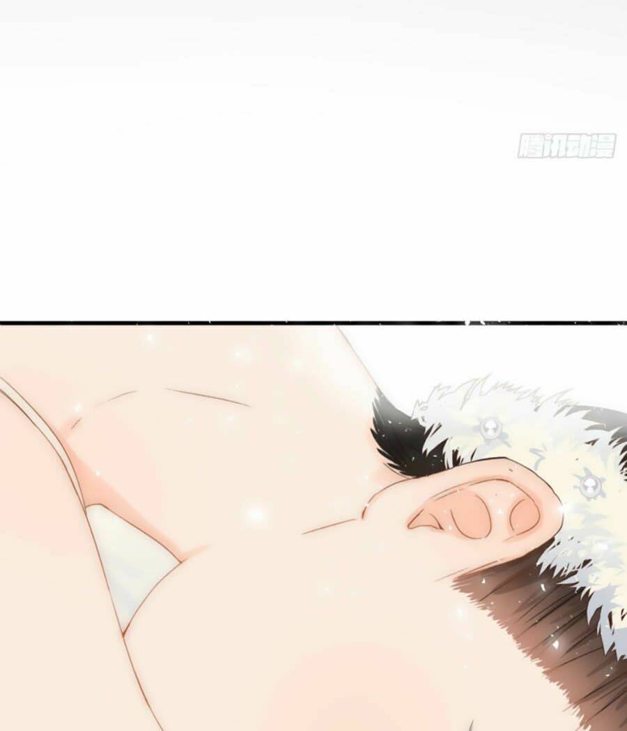 page_28.jpg